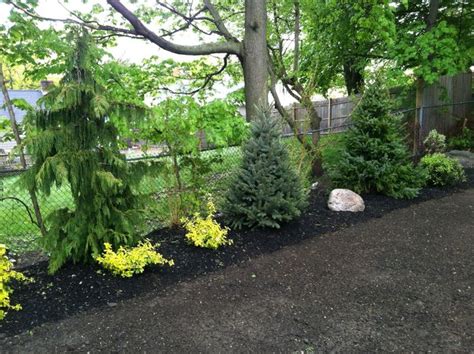 SHRUB-AND-TREE-PLANTINGS | Stefano's Landscaping