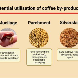 Potential health benefits of spent coffee grounds. | Download Scientific Diagram