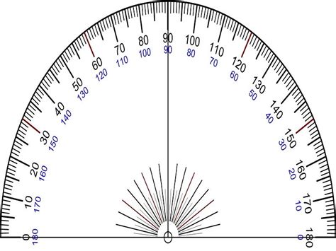 10 Semicircle Examples in Real Life – StudiousGuy