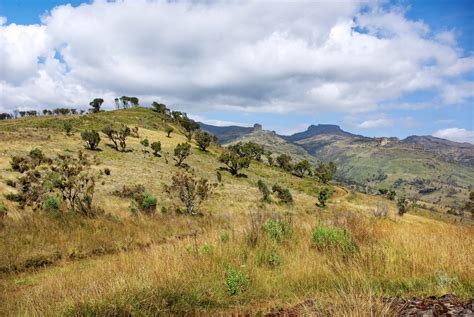 Mount Elgon National Park (Official GANP Park Page)