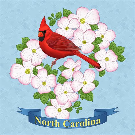 North Carolina State Bird and Flower Painting by Crista Forest - Pixels