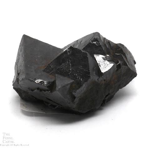 Magnetite Crystal Cluster - The Fossil Cartel