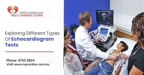 Exploring Different Types Of Echocardiogram Tests - North Queensland ...