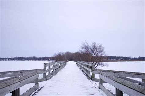 The Snowy Hiking Trail on the Glacial Drumlin State Trail, Wisconsin image - Free stock photo ...