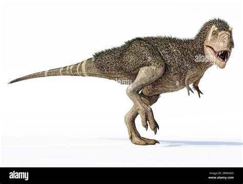 3D illustration of a T-rex dinosaur with feathers Stock Photo - Alamy