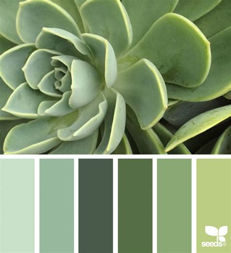 Succulent Tones | Design seeds, Green palette, Green paint