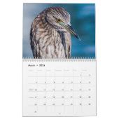 Beach Birds Photography 2023 Calendar | Zazzle