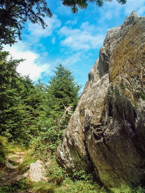 Mount Mitchell Trail on HikeWNC