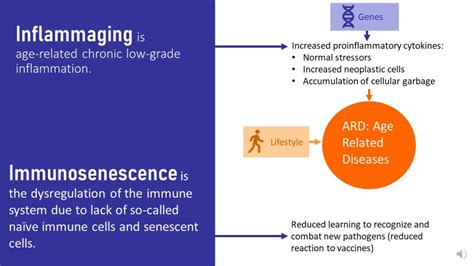 The Aging Process Explained – Nutrition Through the Life Cycle