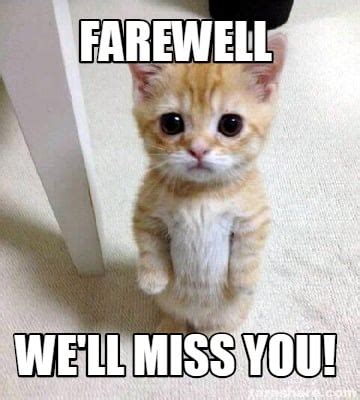 Sad Cat Goodbye Meme
