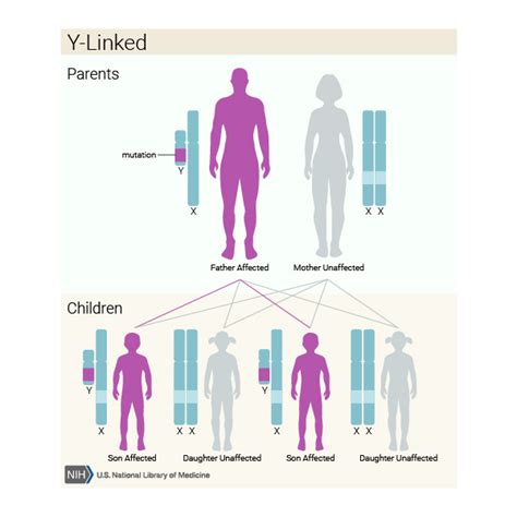 If a genetic disorder runs in my family, what are the chances that my ...