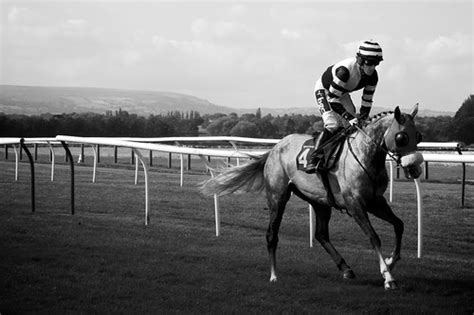 AP McCoy Black & White Horse Racing Photo | Black and white … | Flickr