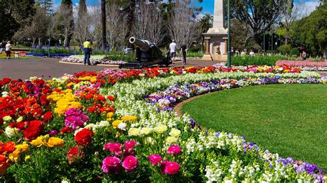 Toowoomba Flower Festival 2024 Dates - Katey Scarlet