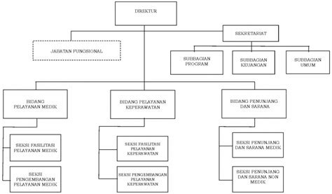 Penjelasan Struktur Organisasi Rumah Sakit Adalah Kemenkes - IMAGESEE