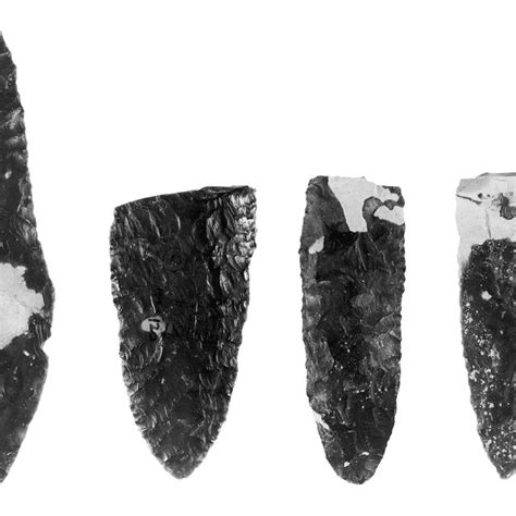 Top, right: 'Atlit peninsula and bays. Inset: 'Atlit-Yam site. | Download Scientific Diagram