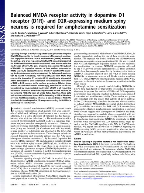 (PDF) Balanced NMDA receptor activity in dopamine D1 receptor (D1R ...