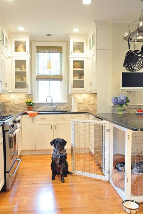 17 Indoor Dog Houses for Your Pet's Dream | Housetodecor.com