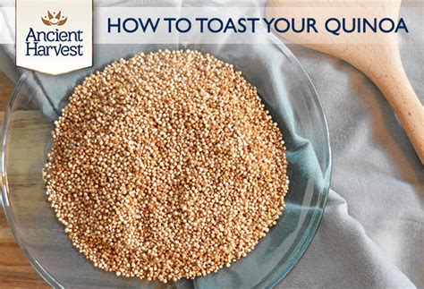 How to Properly Toast Quinoa - Ancient Harvest