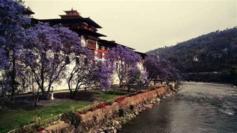 Chapcha, , Bhutan: View Images, Timing and Reviews | Tripoto