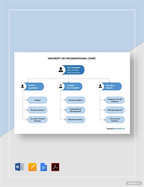 University Organizational Chart Template - prntbl.concejomunicipaldechinu.gov.co