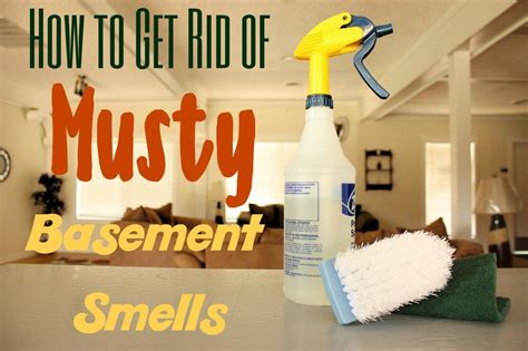 How to Get Rid of Musty Basement Smells (Plus Prevention Tips ...