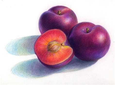 still life | Fruits drawing, Color pencil drawing, Color pencil art