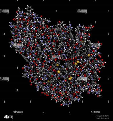 Alpha-galactosidase (Agalsidase) enzyme. Cause of Fabry's disease. Administered as enzyme ...