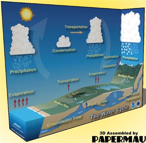 PAPERMAU: Water Cycle Diorama Paper Model - by National Weather Service