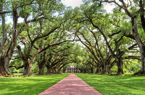 Oak Alley Plantation | The Mansion was built in 1839, but th… | Flickr