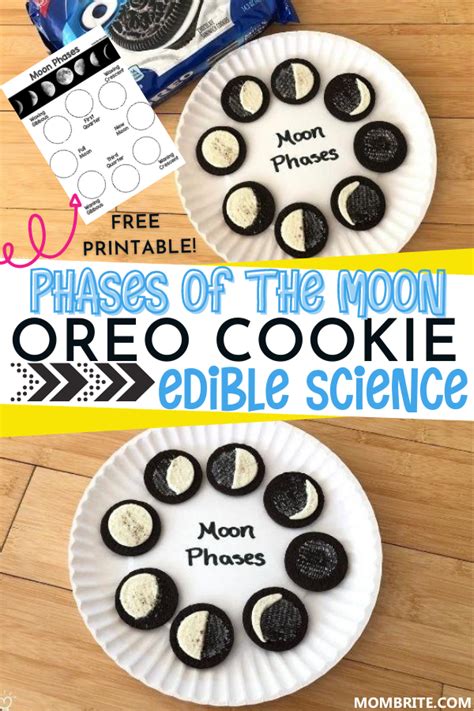 Oreo Cookie Moon Phases Activity [Free Worksheet] | Science experiments ...