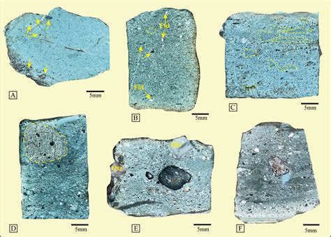 Photographs showing the matrix-supported massive diamictite facies of ...