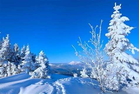 Winter season, bonito, trees, sky, winter, mountain, snow, path, nature ...