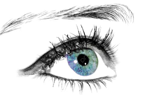 Beautiful Eye Blue, Green, Sight, Look PNG Transparent Image and Clipart for Free Download