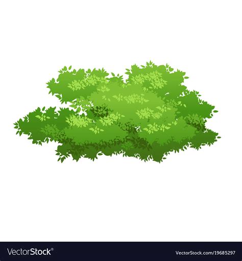 Green bush image Royalty Free Vector Image - VectorStock