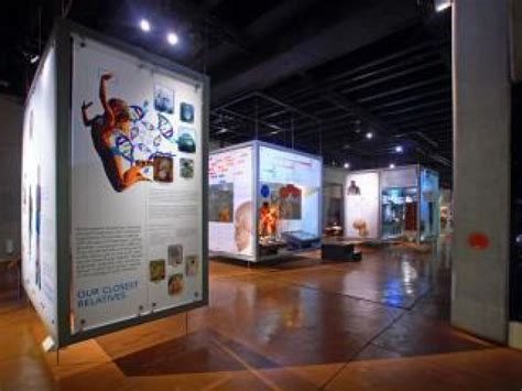 We love Maropeng! – Maropeng and Sterkfontein Caves | Official Visitor ...