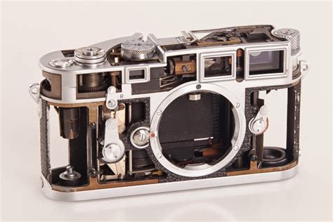 The Best Film Leica Cameras to Start Out With