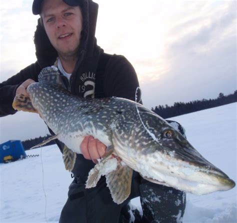 Winter Pike Ice Fishing Tips