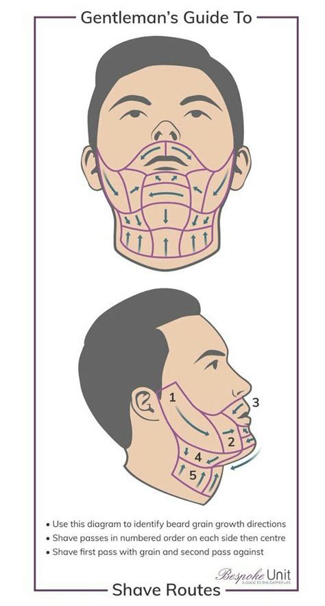 14 Stroke Shave Diagram - diagramwirings