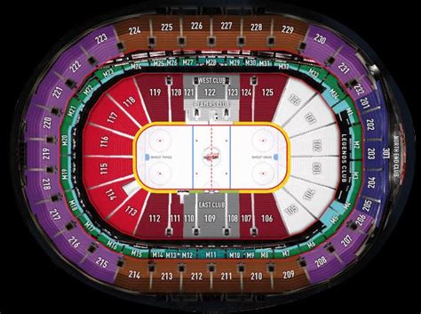 Detroit Pistons and Red Wings Seating Chart with Seat Views