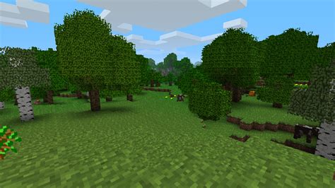 Minecraft Tips And Tricks: Biomes