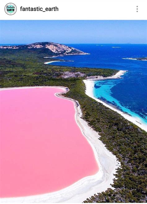 PINK LAKE, ESPERANCE, AUSTRALIA | Lake hillier, Australia travel ...