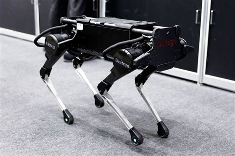 How Google is Teaching a Robot Dog to Imitate a Real Dog - Engineering ...