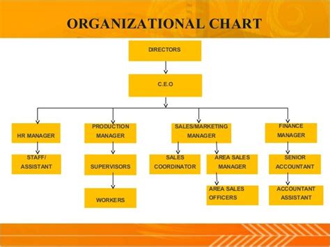 Organization Study at N'TIZE chair Company