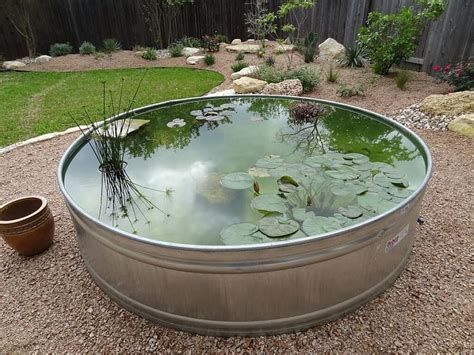 25 Cheap DIY Ponds to Bring Life to Your Garden