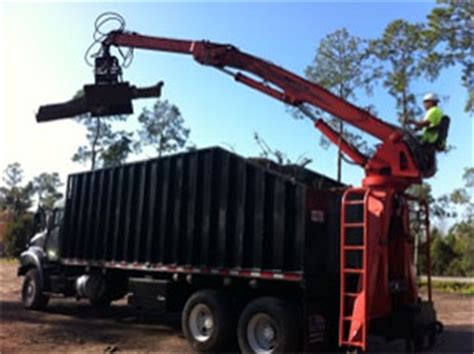 Tree Service Company Orlando : Tree Removal Company : Tree Removal ...