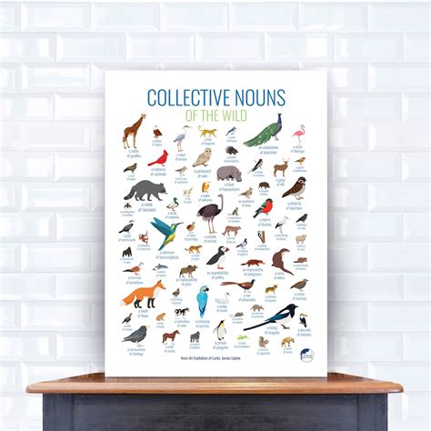 Collective Nouns Animals & Birds Wall Art Nature Art - Etsy Canada