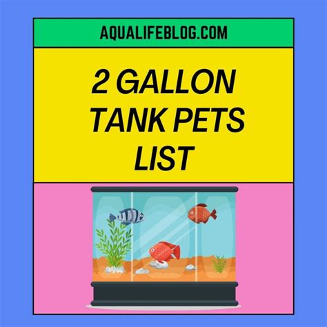 2 Gallon Tank Pets: Which Aquarium animals can live in a 2 gallon tank? - Aqualife