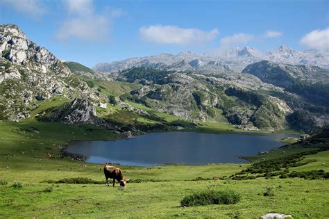 Lagos de Covadonga y la Santina: todo lo que puedes hacer - Camping el ...