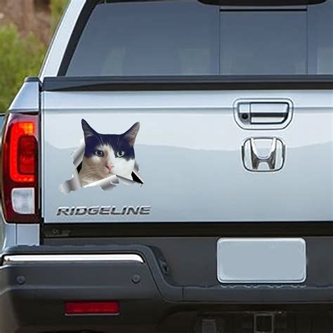 Funny Cat Decal Bumper Sticker for Car Animal Sticker | Etsy