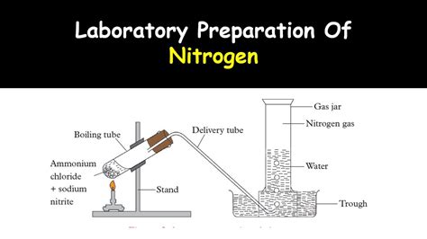 Laboratory Preparation Of Nitrogen - YouTube